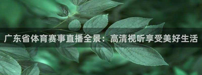 360雨燕无插件高清直播免费：广东省体育赛事直播全景：高清视听享受美好生活