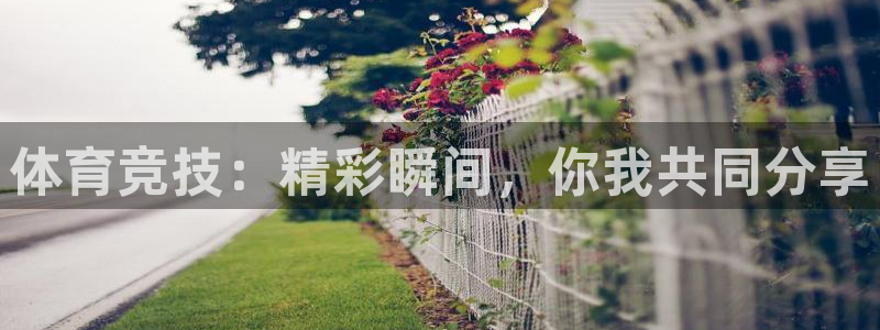 体育360直播在线观看：体育竞技：精彩瞬间，你我共同分享