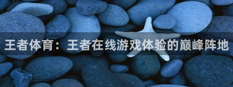360绿色直播体育在线观看：王者体育：王者在线游戏体验的巅峰阵地