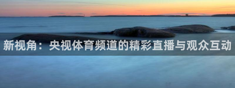 极速nba直播体育直播吧360：新视角：央视体育频道的精彩直播与观众互动