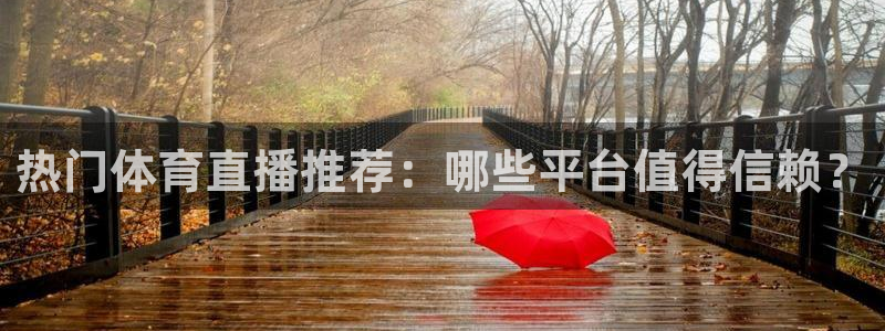 360吧体育直播app：热门体育直播推荐：哪些平台值得信赖？