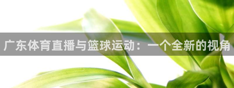 360体育直播在线看：广东体育直播与篮球运动：一个全新的视角
