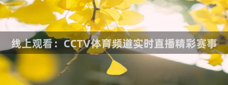 乐球吧nba直播雨燕360：线上观看：CCTV体育频道实时直播精彩赛事