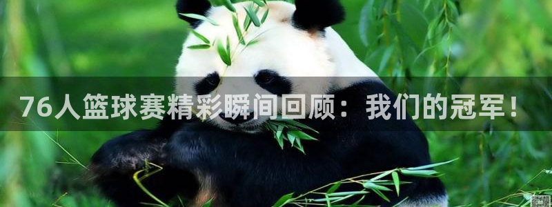 360看球直播在线直播：76人篮球赛精彩瞬间回顾：我们的冠军！