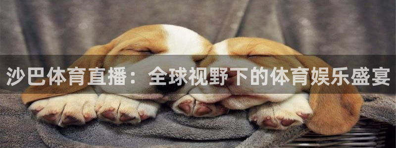 360体育直播最用心的直播：沙巴体育直播：全球视野下的体育娱乐盛宴