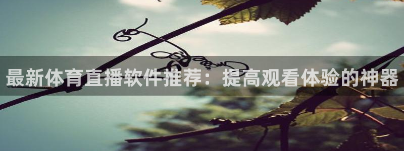 360雨燕直播体育：最新体育直播软件推荐：提高观看体验的神器