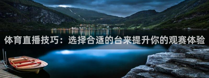 360体育在线直播无插件：体育直播技巧：选择合适的台来提升你的观赛体验