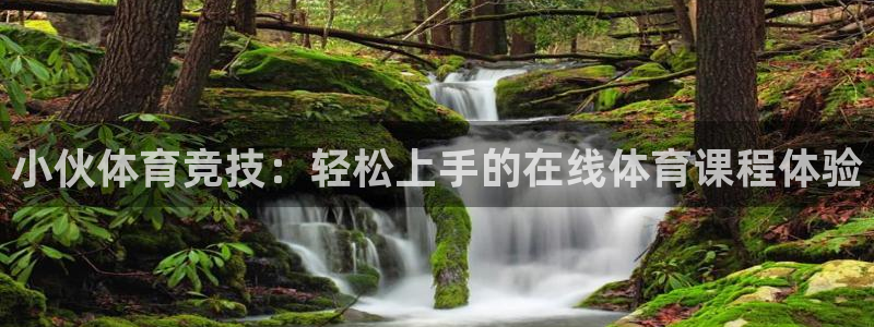 360足球直播赛事雨燕：小伙体育竞技：轻松上手的在线体育课程体验
