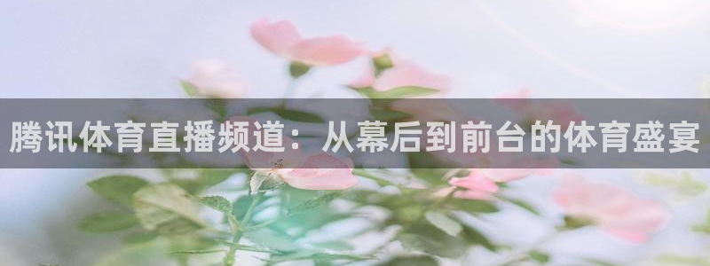 雨燕直播足球360：腾讯体育直播频道：从幕后到前台的体育盛宴