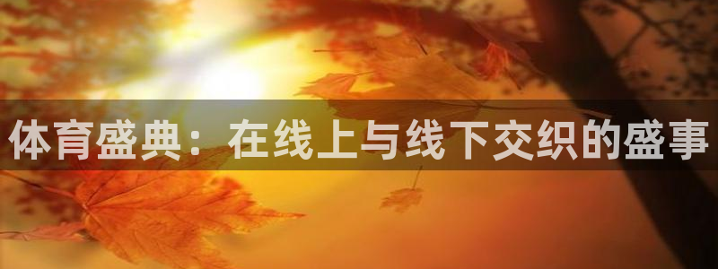 欧联杯直播360：体育盛典：在线上与线下交织的盛事