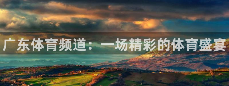 雨燕360体育直播全网发布.新年网.中国：广东体育频道：一场精彩的体育盛宴