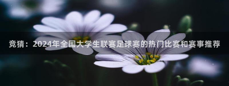 360直播无插件免费观看nba：竞猜：2024年全国大学生联赛足球赛的热门比赛和赛事推荐