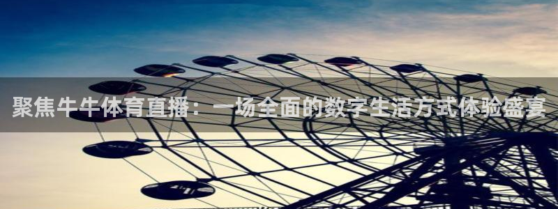 雨燕360体育直播足球罗甲：聚焦牛牛体育直播：一场全面的数字生活方式体验盛宴
