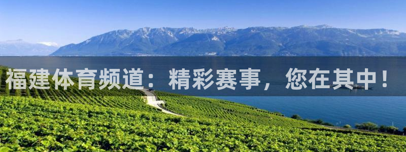 360足球比赛直播：福建体育频道：精彩赛事，您在其中！