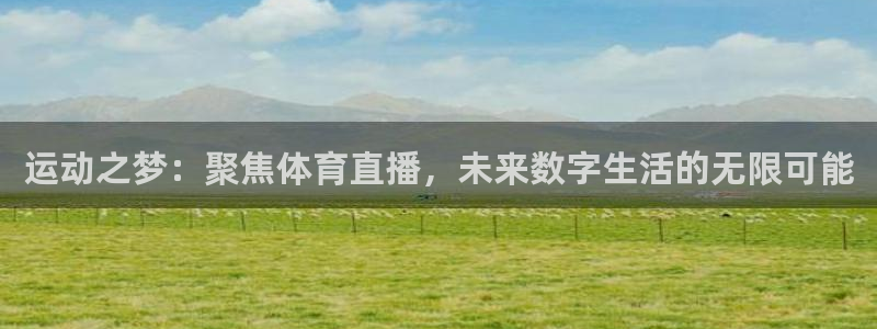 360体育无插件直播高清：运动之梦：聚焦体育直播，未来数字生活的无限可能