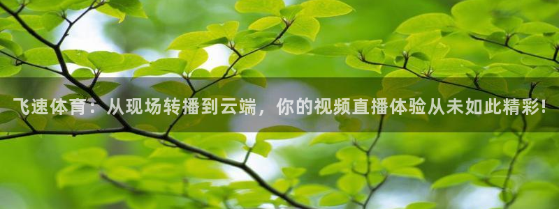 360足球直播高清免费观看完整：飞速体育：从现场转播到云端，你的视频直播体验从未如此精彩!