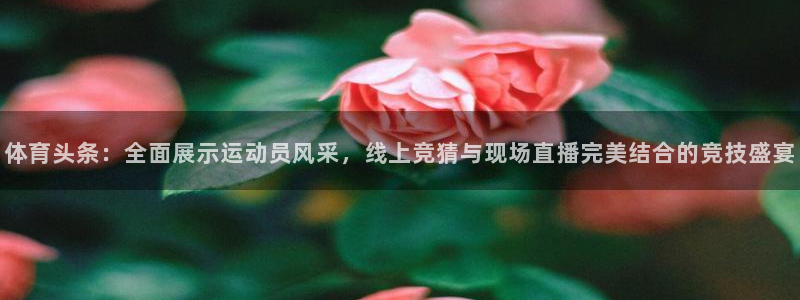 360高清足球直播：体育头条：全面展示运动员风采，线上竞猜与现场直播完美结合的竞技盛宴